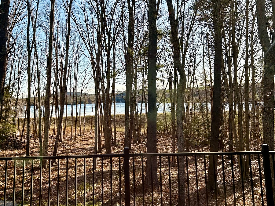 Furnished Finder property 789595_1 photo 22