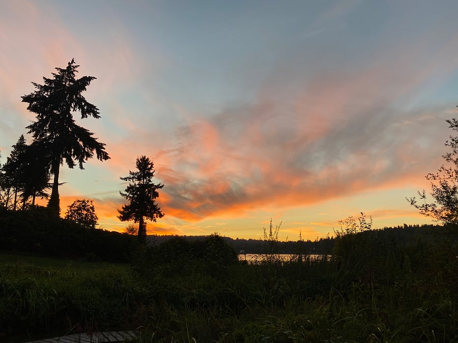 In warmer months, you can access a boardwalk just beyond the backyard that goes to the edge of Lake Washington for beautiful water views & sunsets.