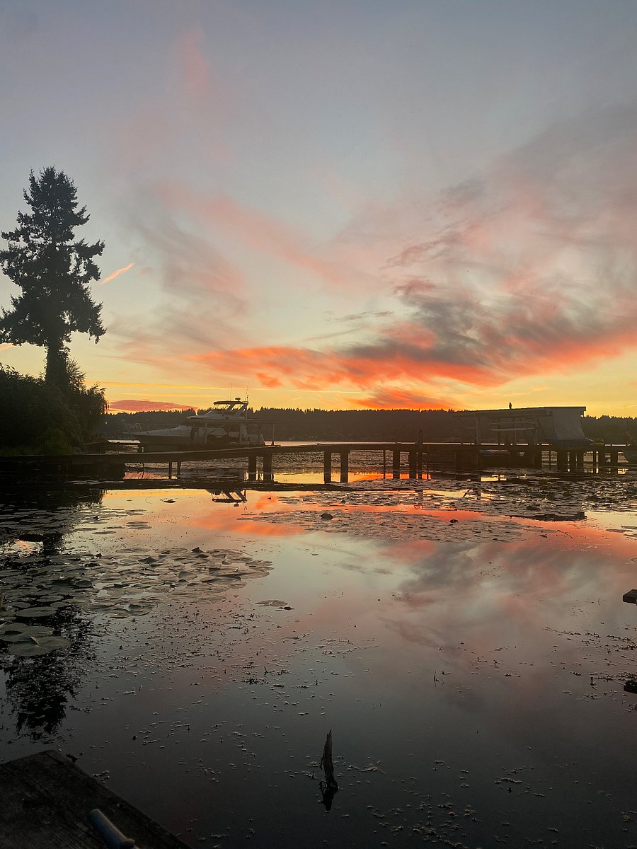 In warmer months, you can access a boardwalk just beyond the backyard that leads to a dock (shared with neighbors), where there are Adirondack chairs to enjoy the views of Lake Washington. Great access for kayaking and stand up paddle boarding.