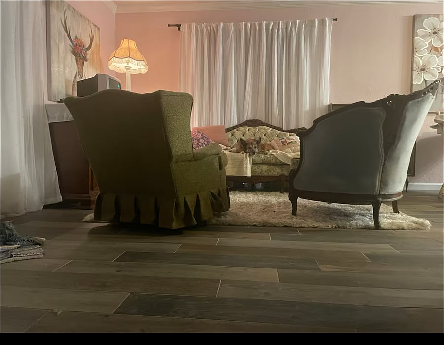 Living Room downstairs 