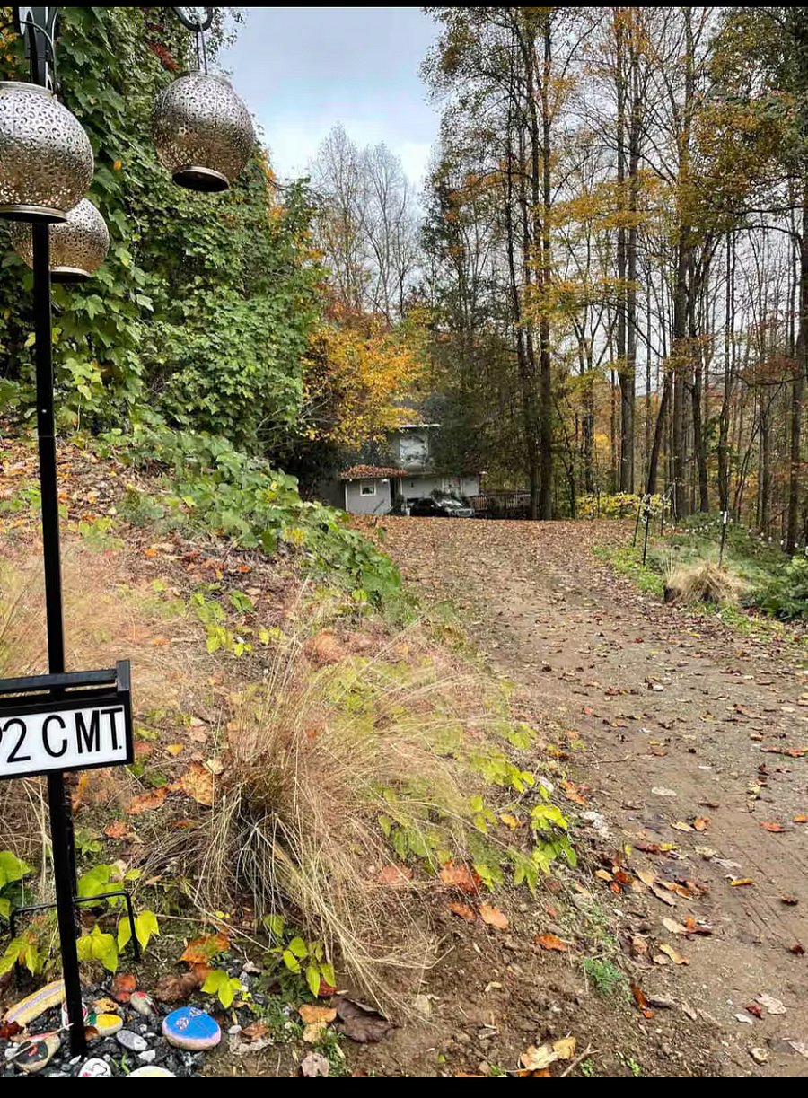 Driveway leading to the house 