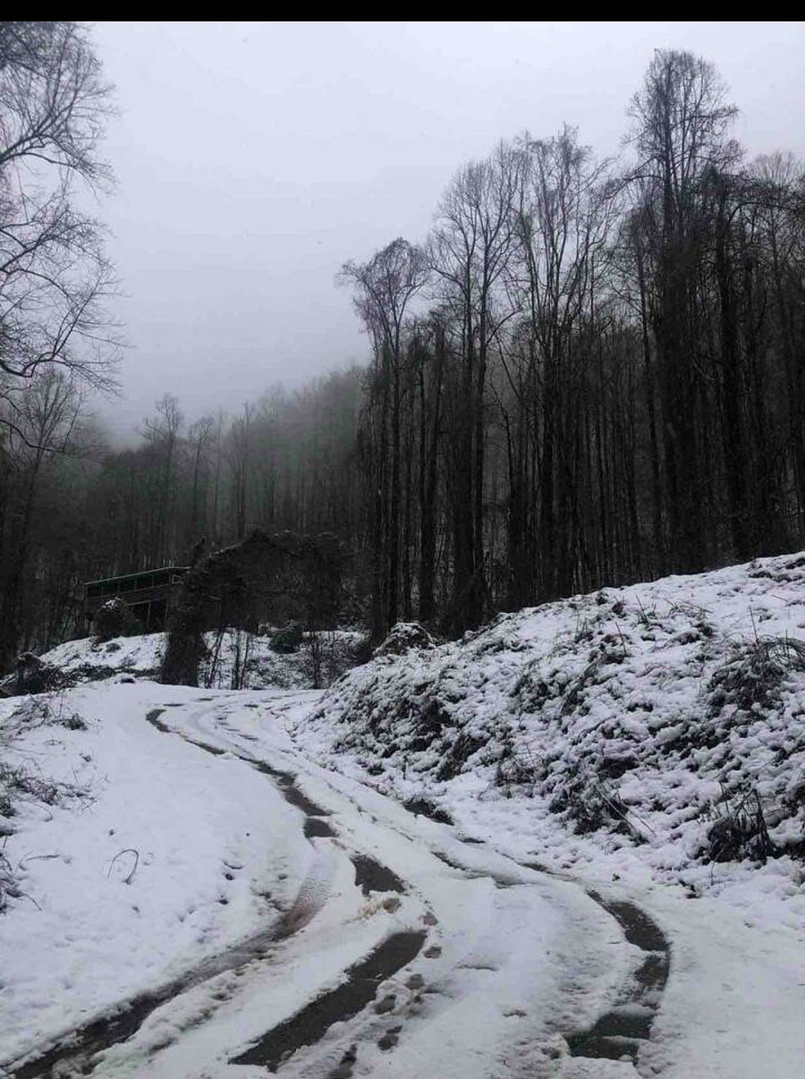 A snowy driveway 
