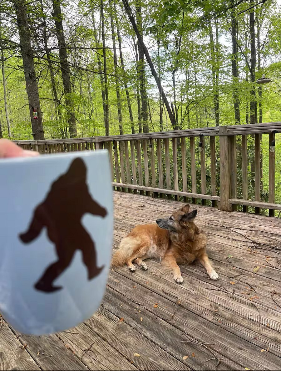Enjoying a cuppa on the deck