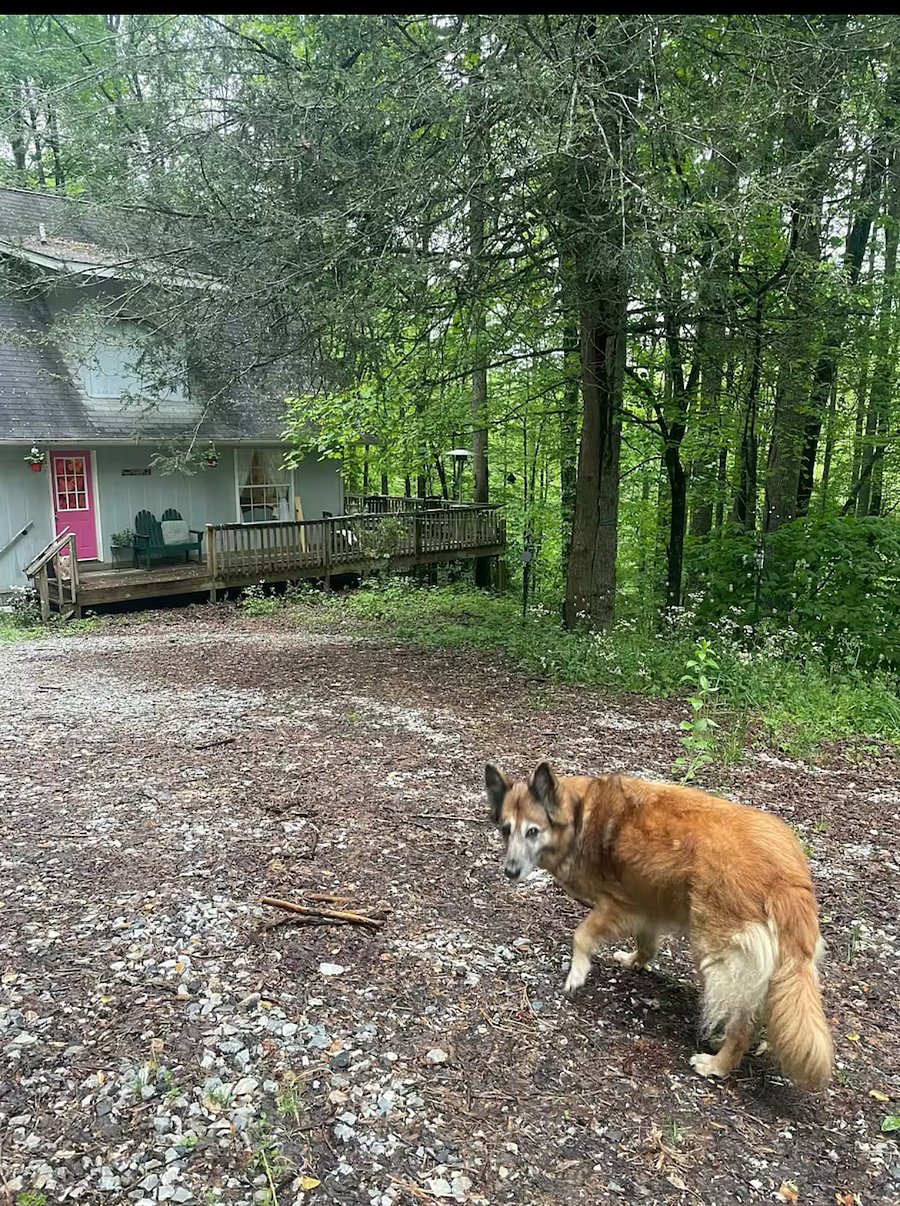 Pets welcome 