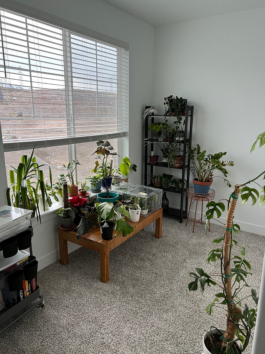 Furnished Finder property 790446_1 photo 4