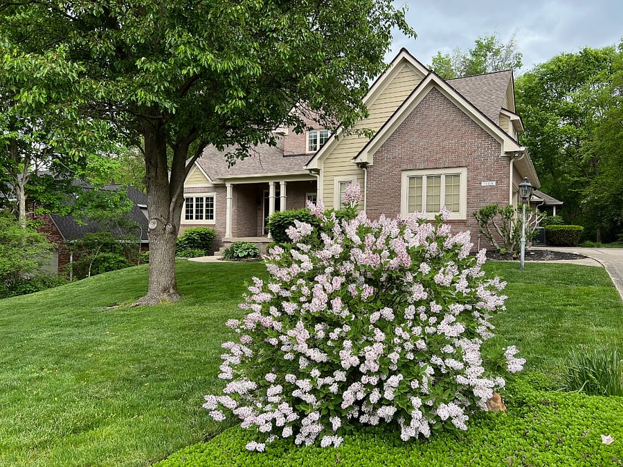 street view of home