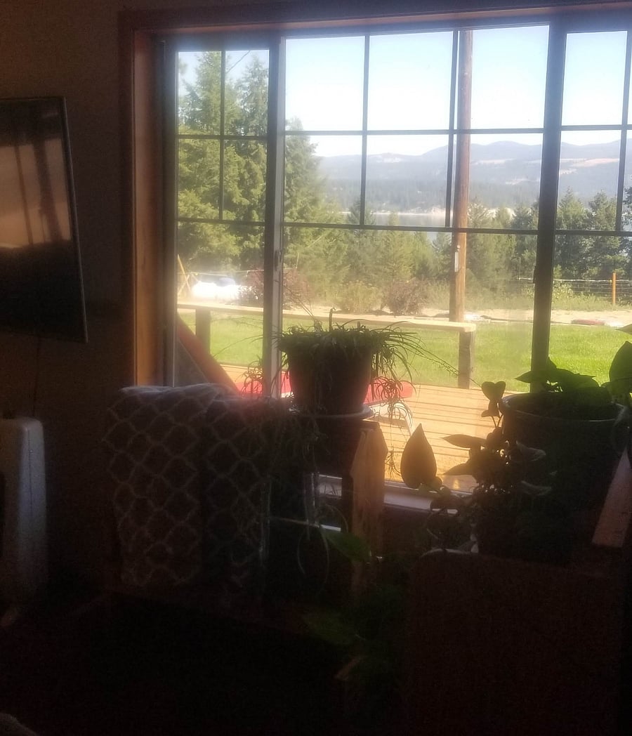 One of the Living room windows