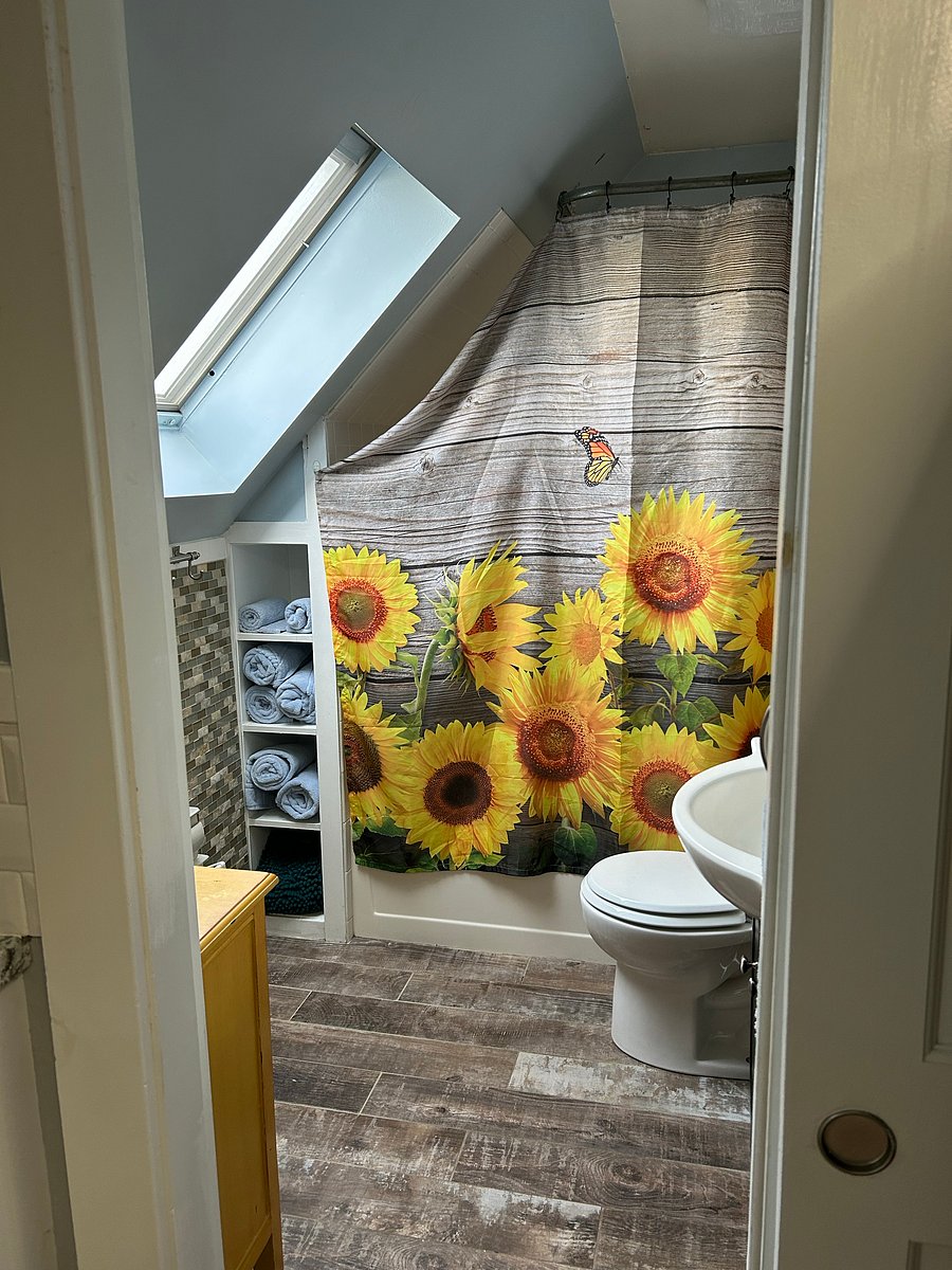 Furnished Finder property 791050_1 photo 15