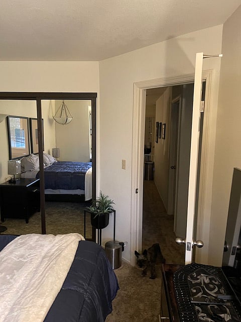 Furnished Finder property 791233_2 photo 4
