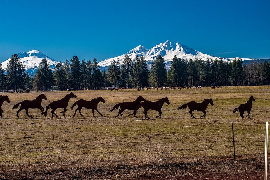 Sisters Metal Horses and Three Sisters Mountains