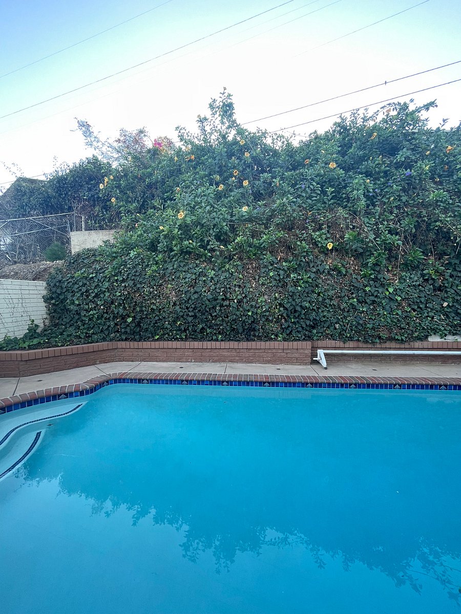 Furnished Finder property 791288_1 photo 20