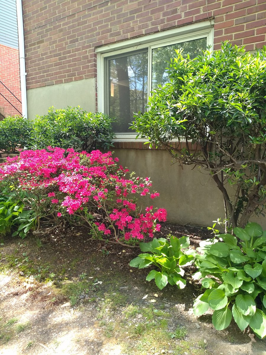 Furnished Finder property 791574_1 photo 33