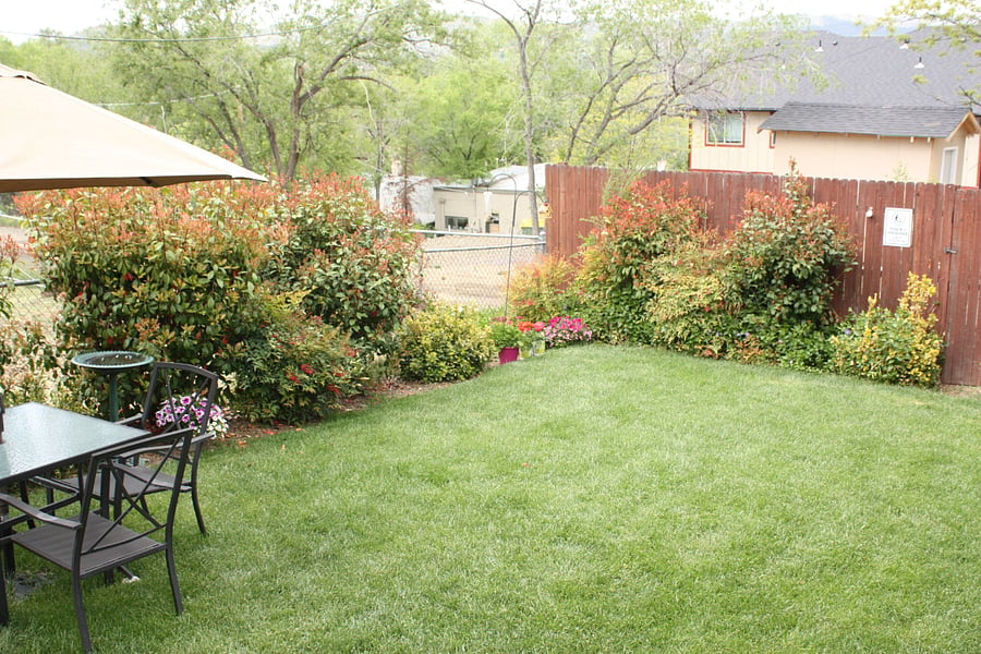 Shared yard