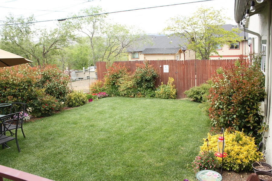 Shared yard