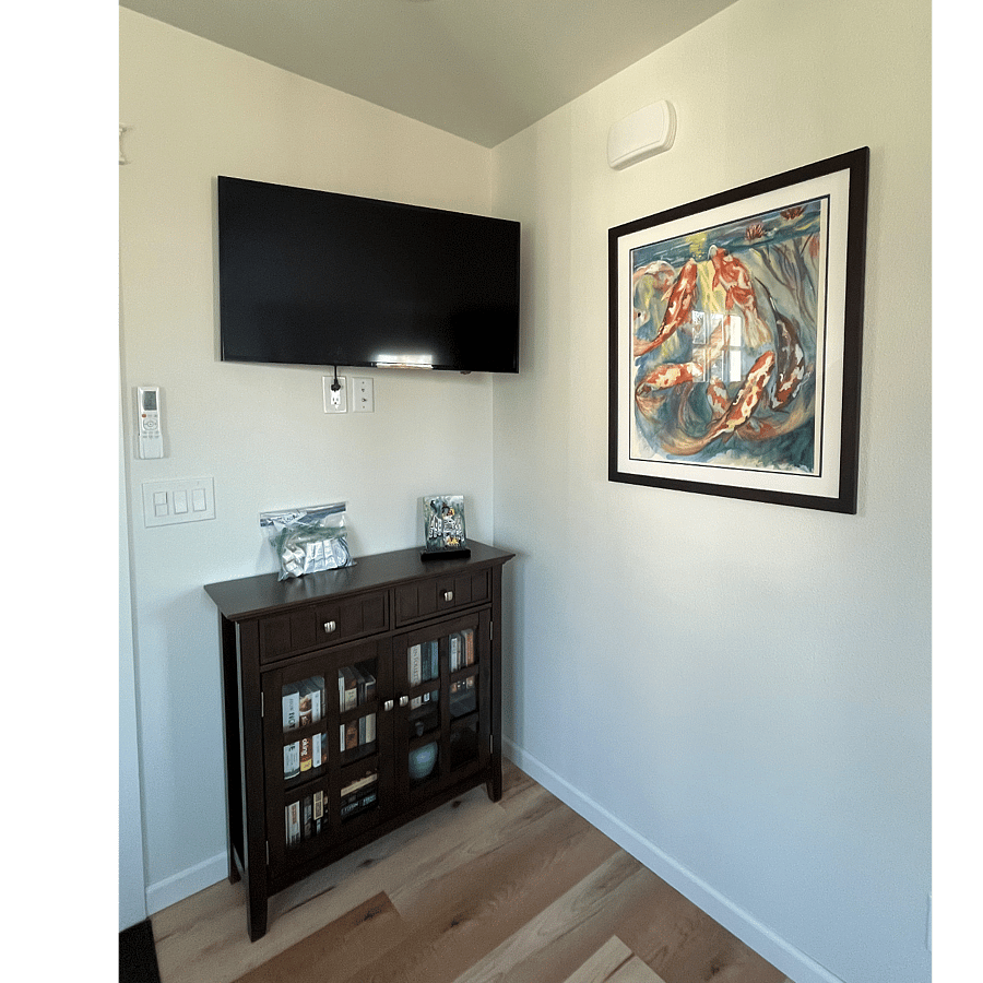 Samsung Smart TV with streaming apps. Internet and Wifi. Small library too.