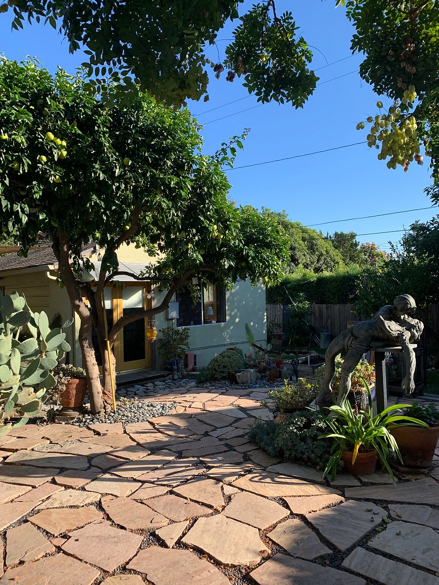 Restful backyard, guest studio with bedroom/bathroom in distance.