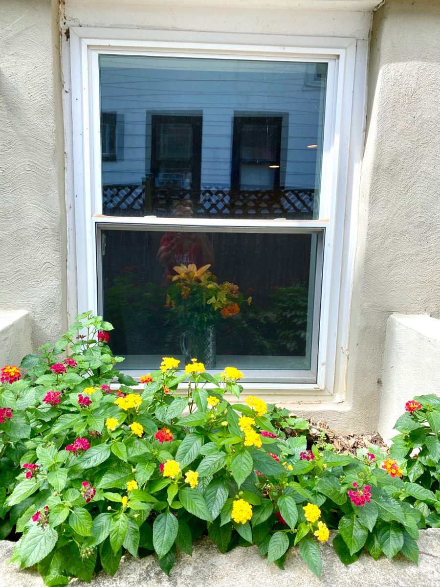 Furnished Finder property 791923_1 photo 22