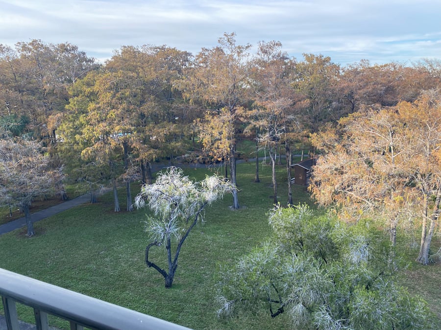Furnished Finder property 791983_1 photo 13