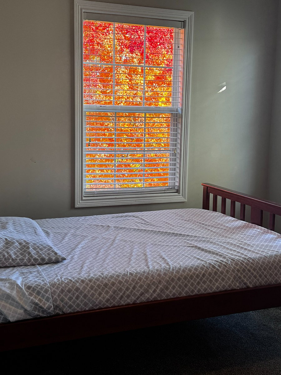 Furnished Finder property 792057_1 photo 17