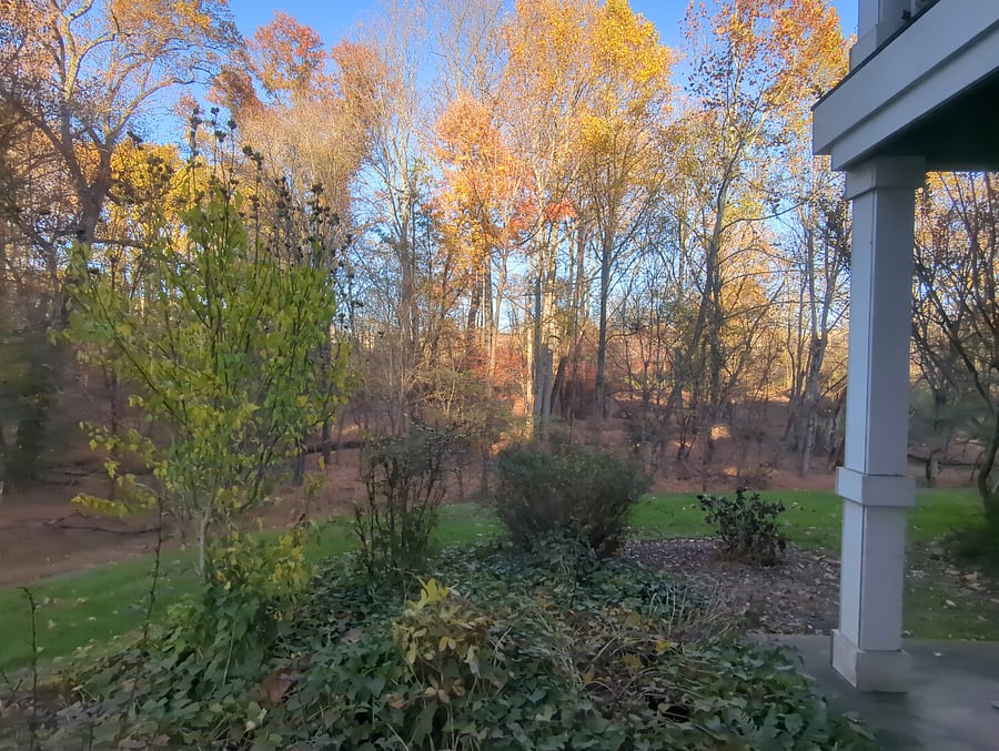 Furnished Finder property 792224_1 photo 13