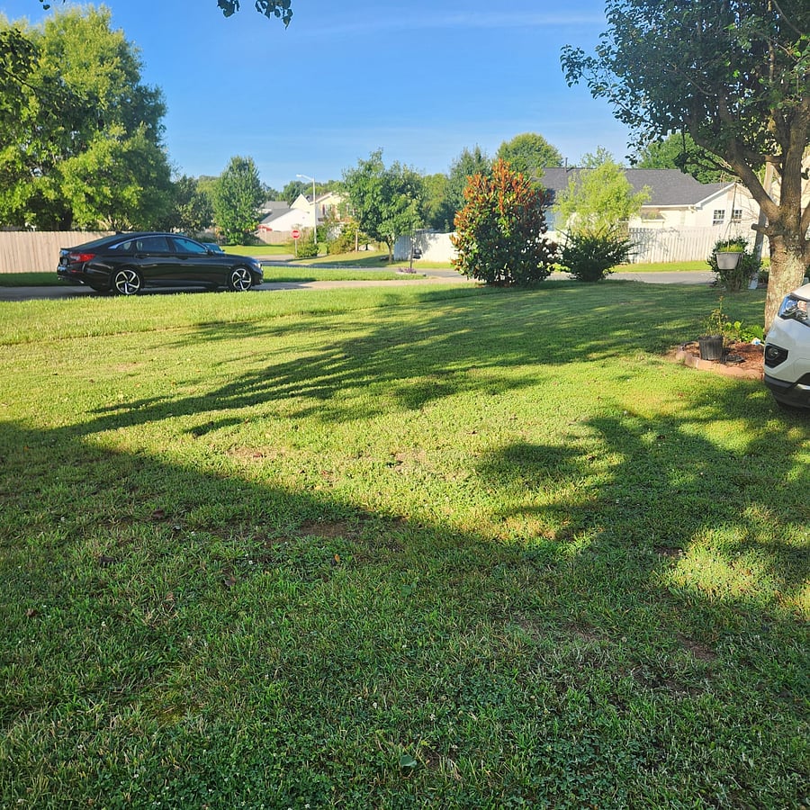 Furnished Finder property 792229_1 photo 18