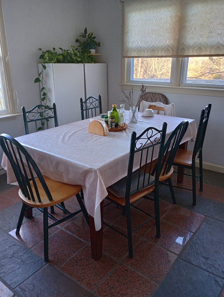 dining table in the kitchen