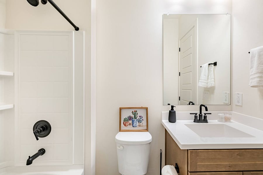 Guest Bathroom 1