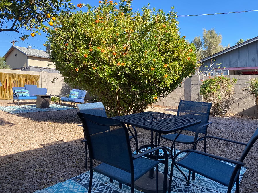 Back Yard