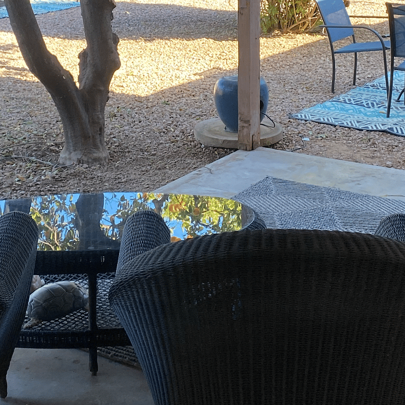 Furnished Finder property 792375_1 photo 23