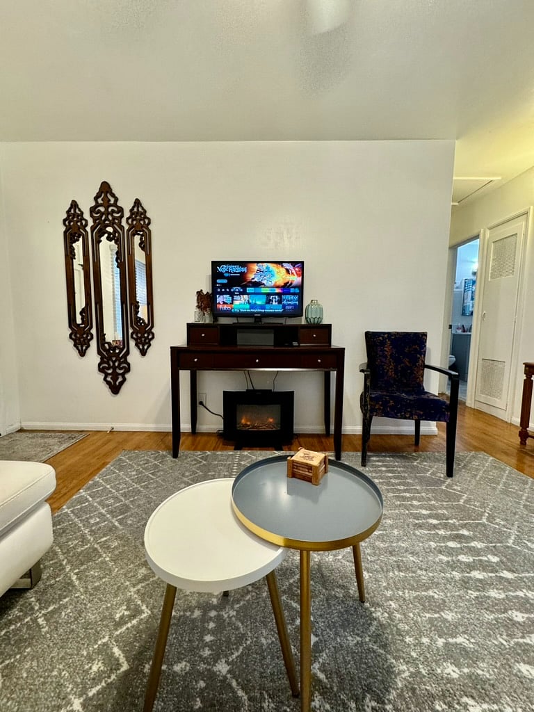 TV with Amazon Fire stick and streaming services