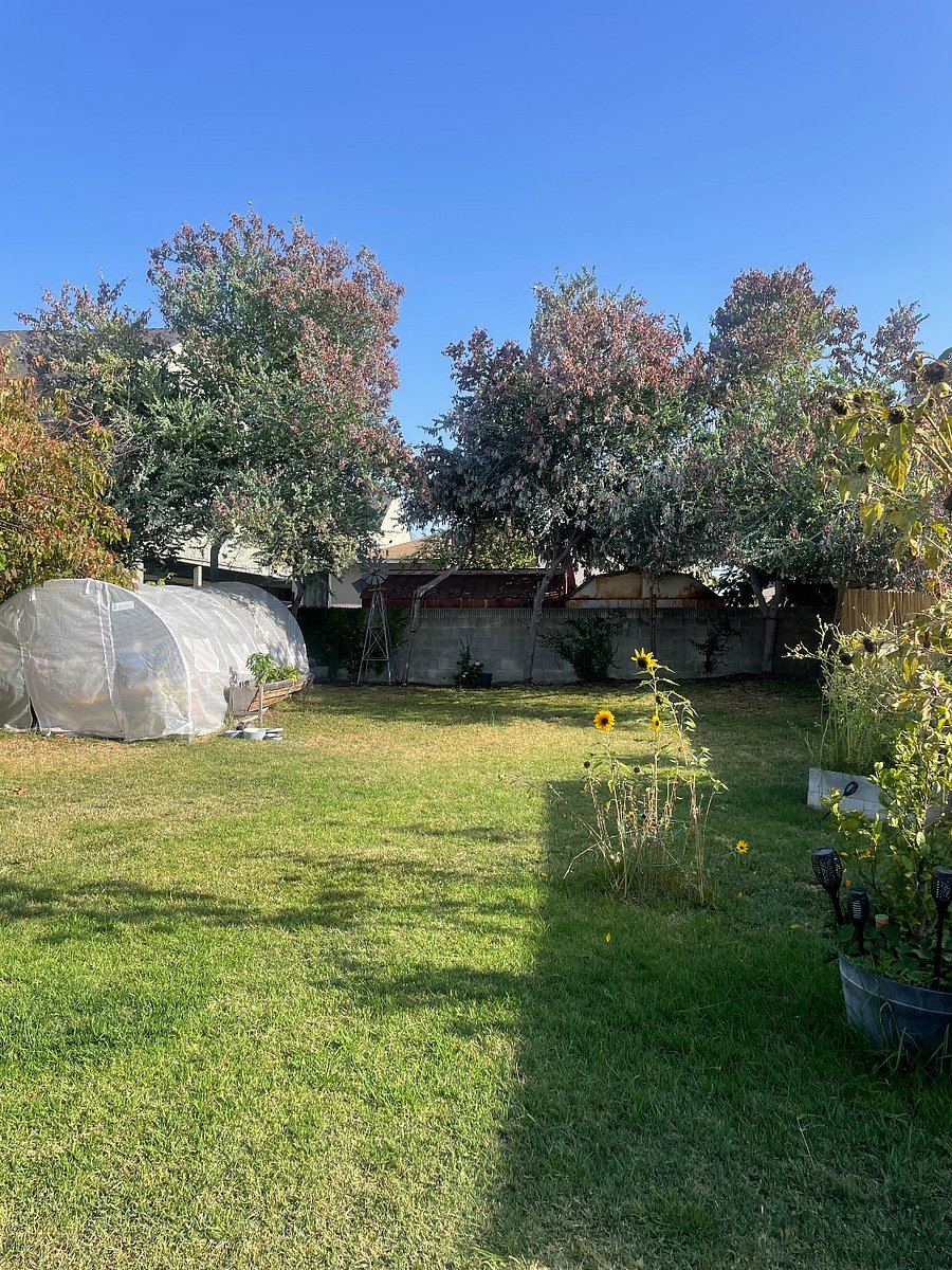 Furnished Finder property 793067_1 photo 26
