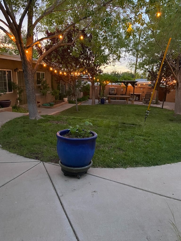 Furnished Finder property 793111_1 photo 21