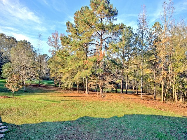Furnished Finder property 793130_1 photo 10