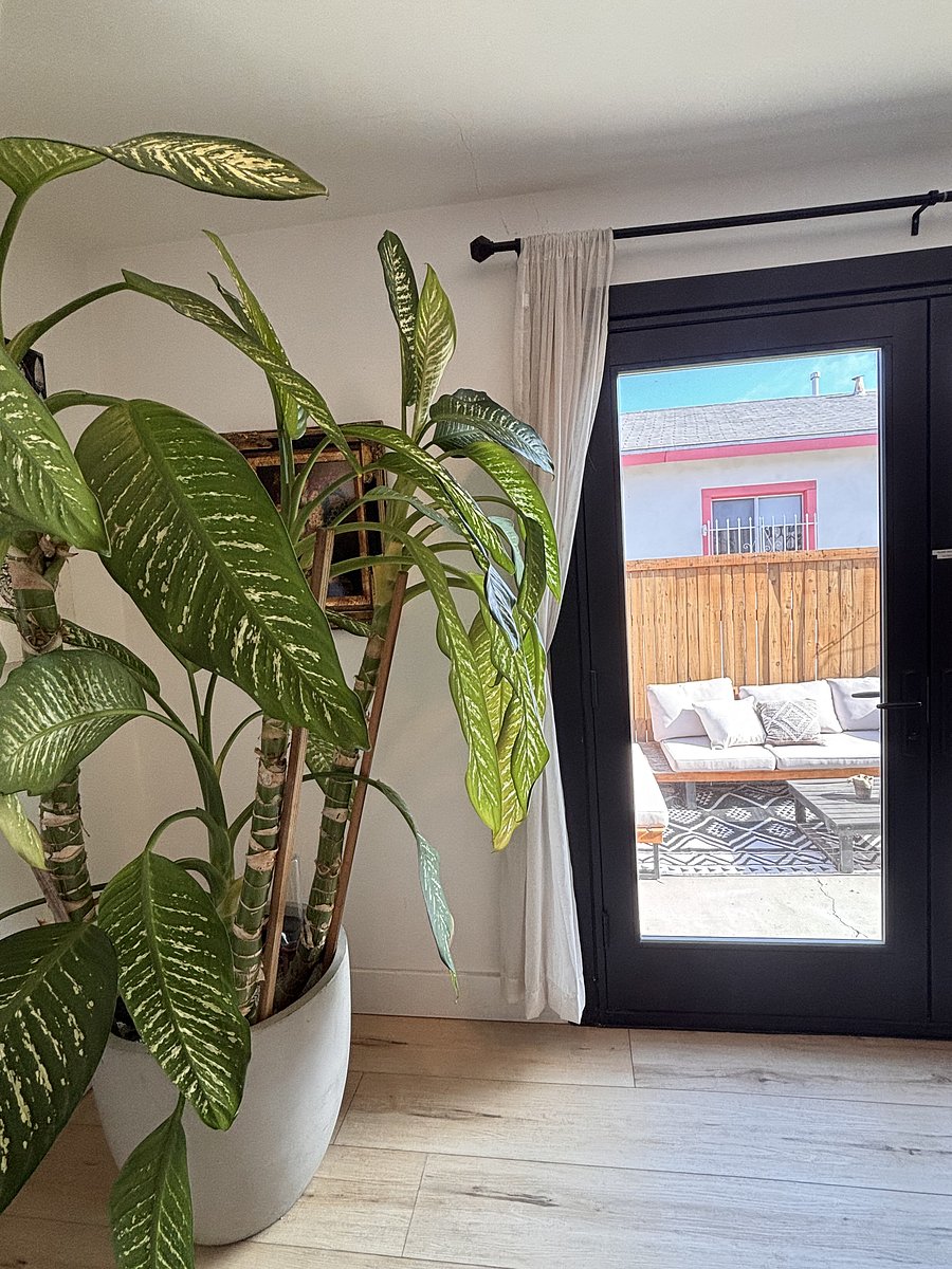 Furnished Finder property 793162_1 photo 26