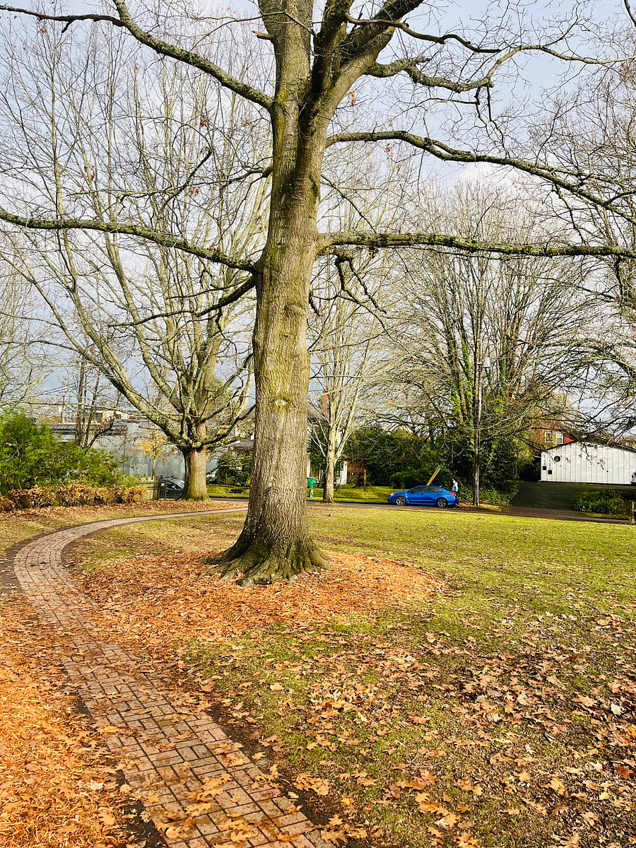Park around the block