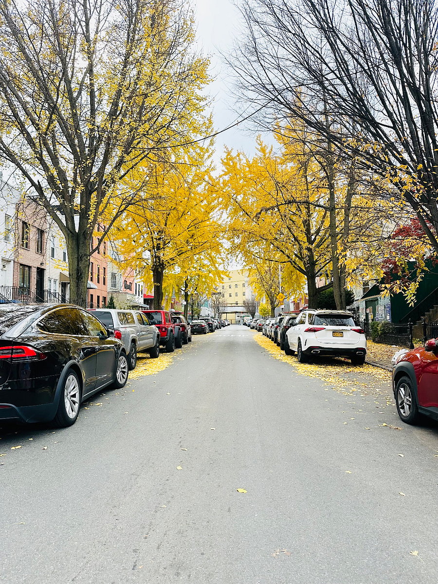 Furnished Finder property 793297_1 photo 10