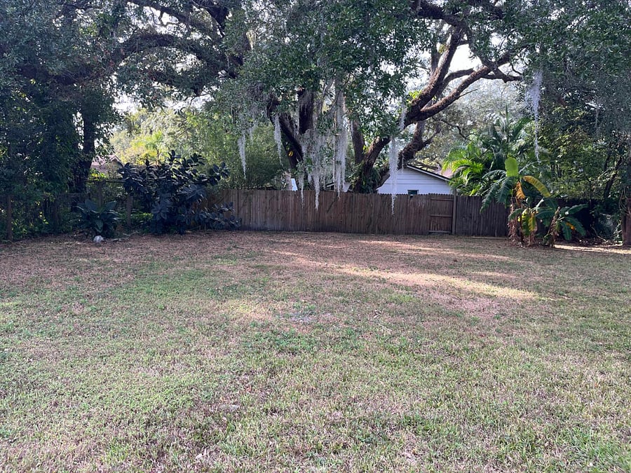 Main house backyard 