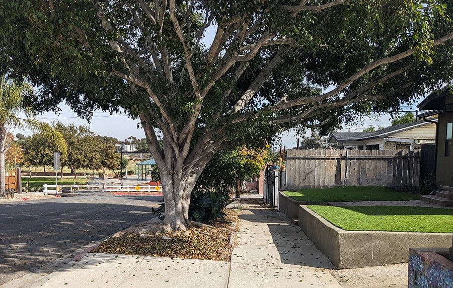 View of Park Entrance from driveway