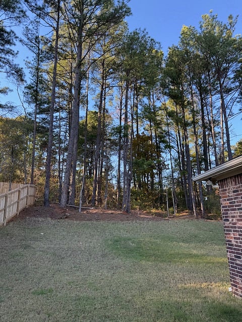 View from backdoor, backyard wraps around the house. Privacy fence on 3/4 of property. Back of the yard was left unfenced to enjoy the scenery.