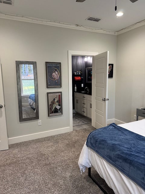Master bedroom and bathroom entrance