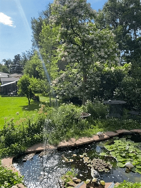 Furnished Finder property 793984_1 photo 26