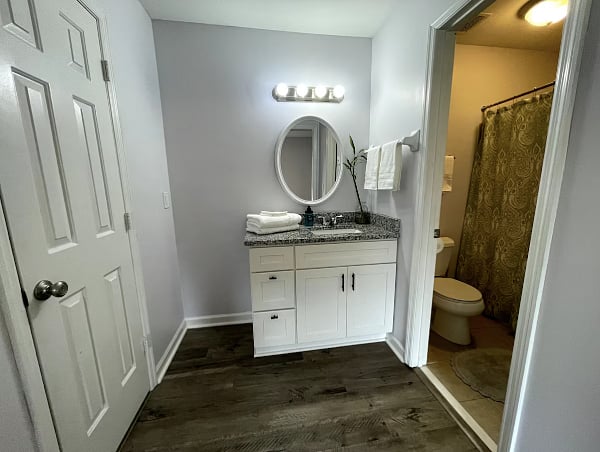 Master Bathroom & Vanity