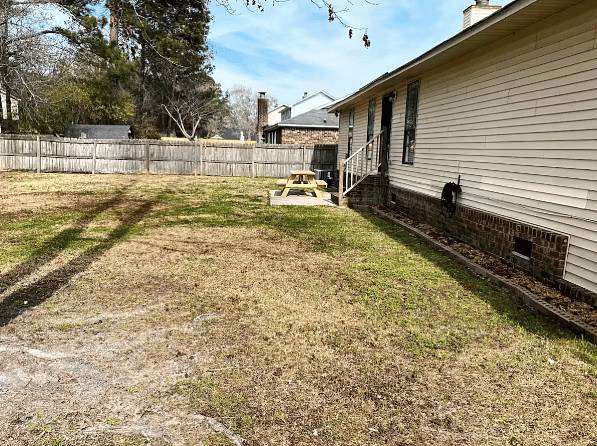 Backyard