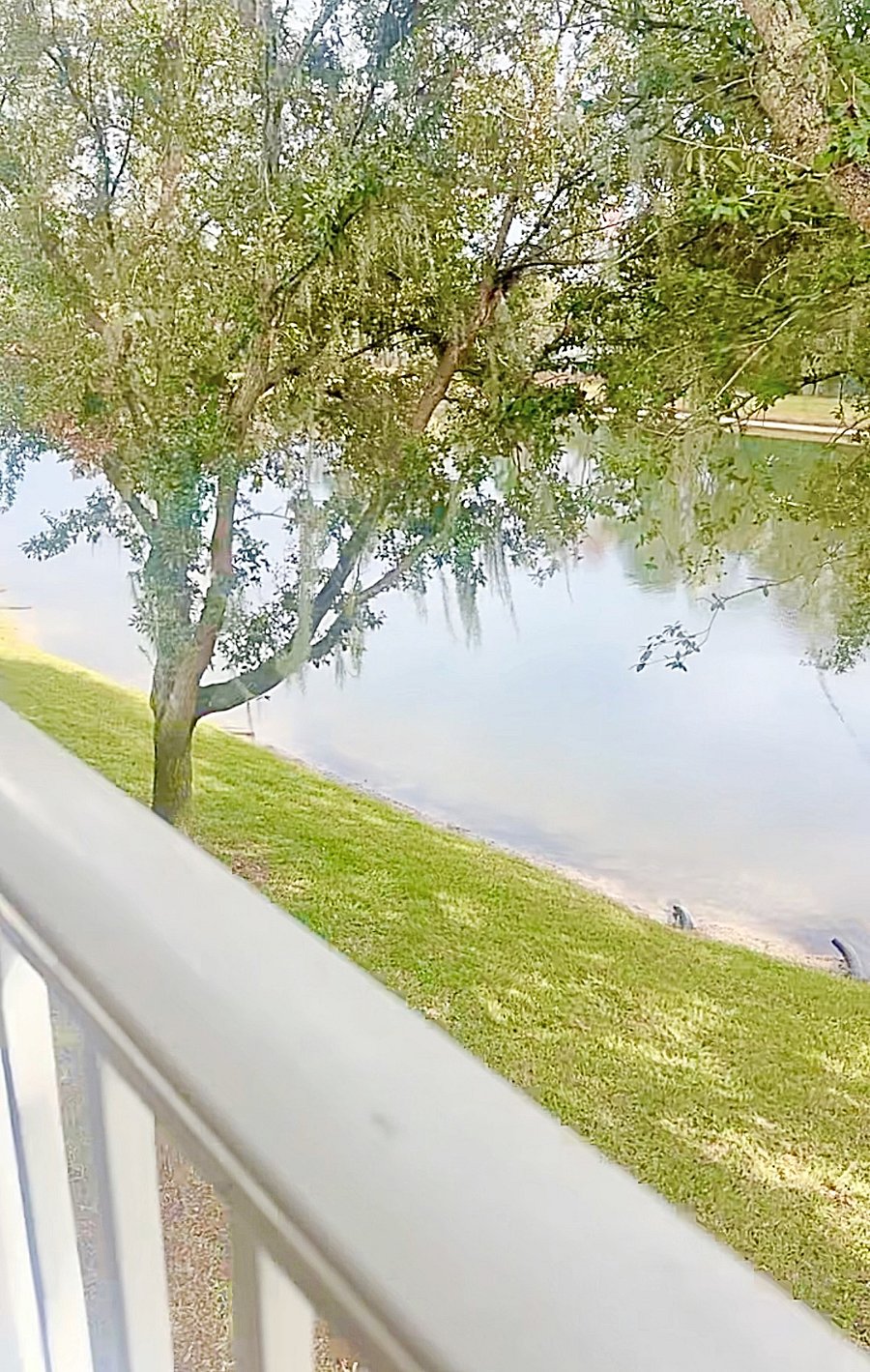 Beautiful patio view