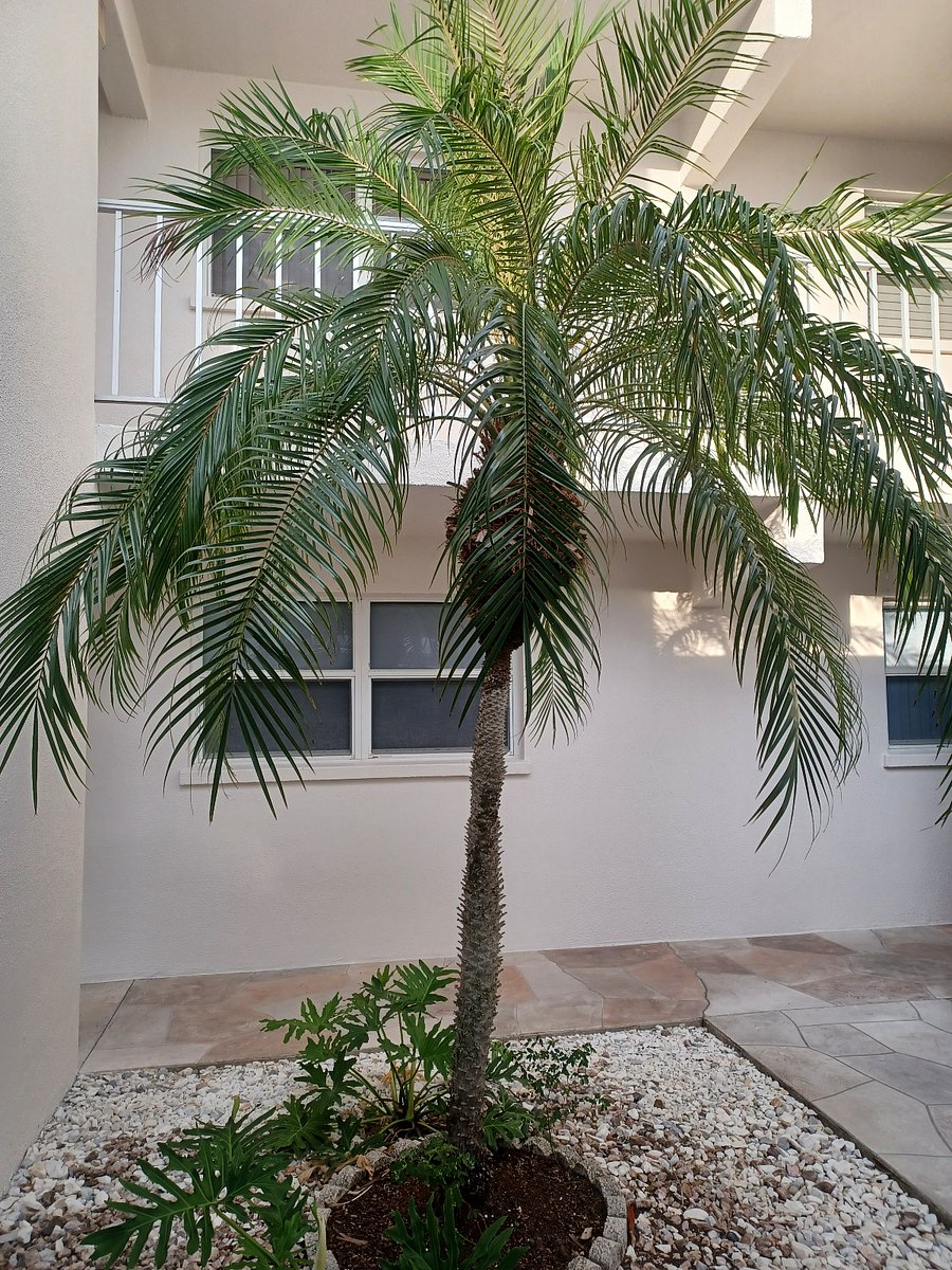 Furnished Finder property 794470_1 photo 18