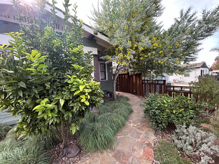 pathway to casita 