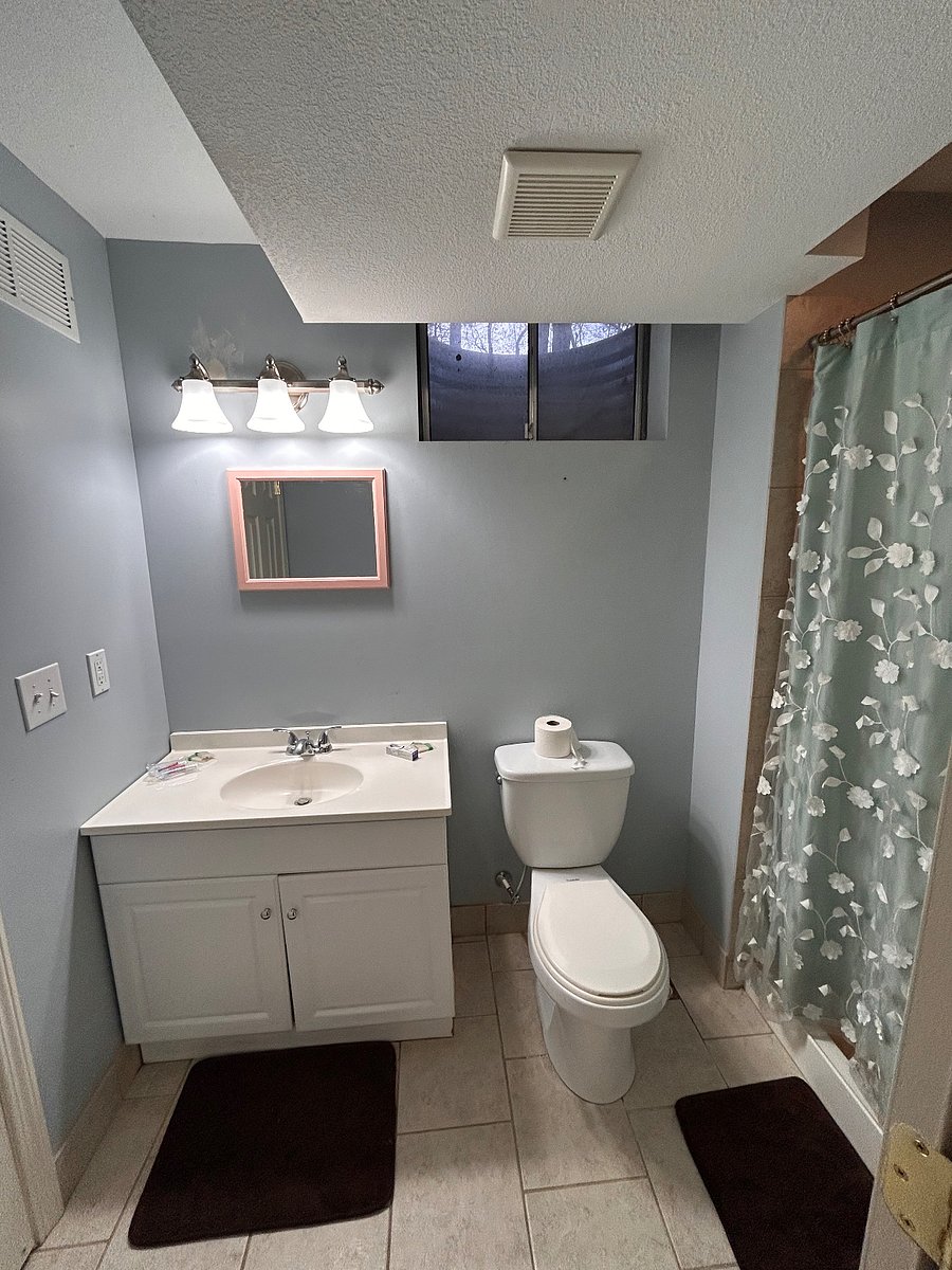 Lower level bathroom with walk-in shower