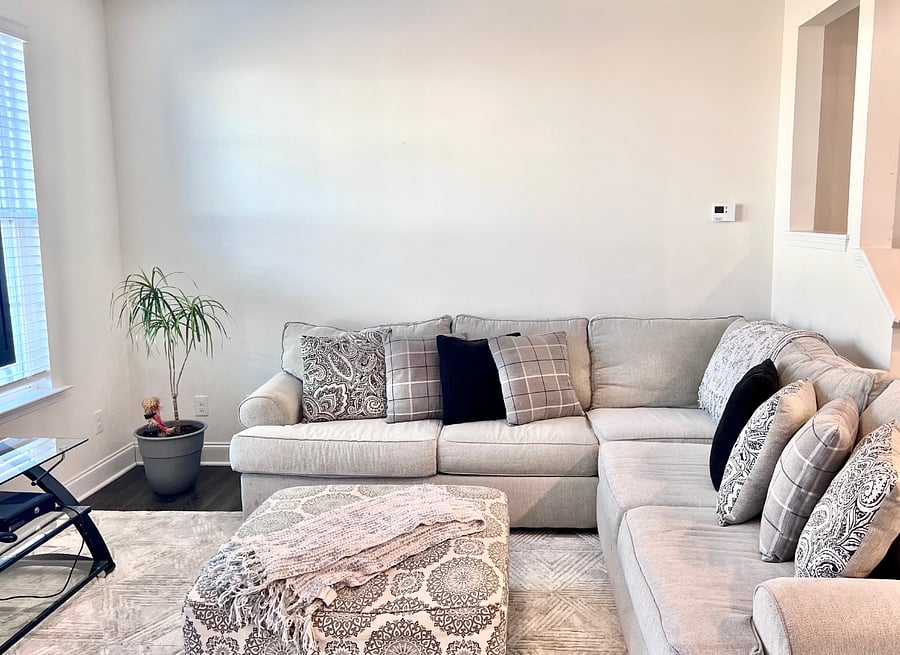 TV and Couch