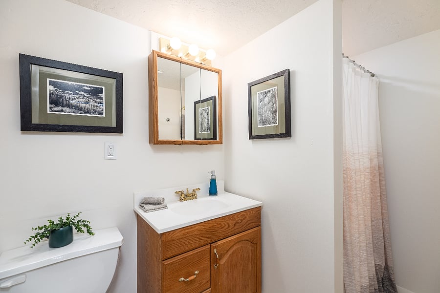 Furnished Finder property 795060_1 photo 15