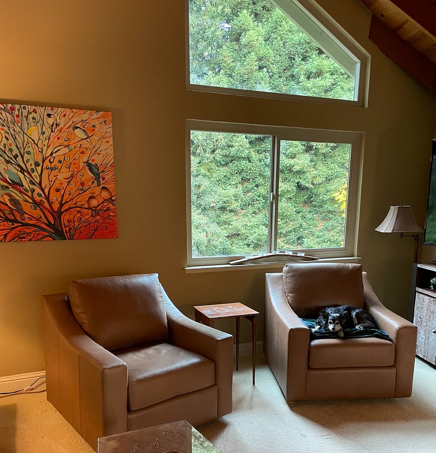 Furnished Finder property 795099_1 photo 3